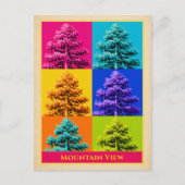 Carte postale de Mountain View Arkansas Pin Sylves (Devant)