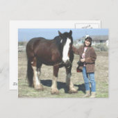 Carte postale de Mustang-Esprit (Devant / Derrière)