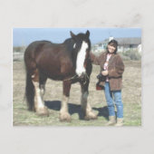 Carte postale de Mustang-Esprit (Devant)