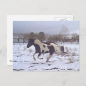 Carte postale de Mustang-Spirit (Devant / Derrière)