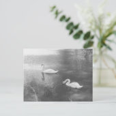 Carte postale de natation (Debout devant)