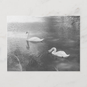 Carte postale de natation