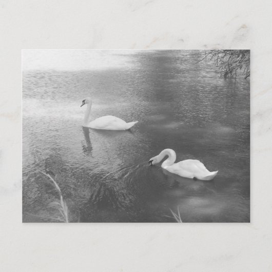 Carte postale de natation (Devant)