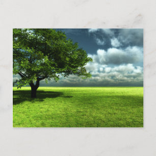 Carte postale de nature
