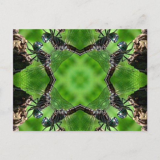 Carte postale de nature d'art de kaléidoscope de (Devant)