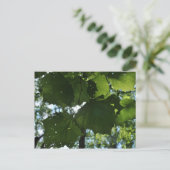 Carte postale de nature régulière (Debout devant)