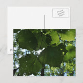 Carte postale de nature régulière (Devant / Derrière)