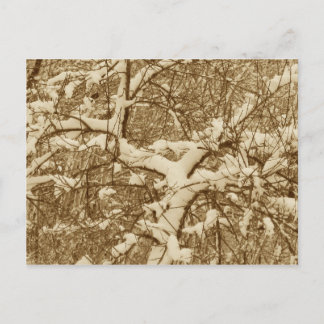 Carte postale de neige