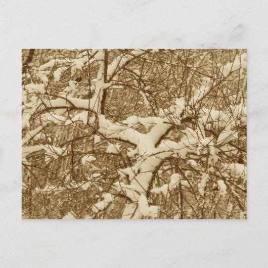 Carte postale de neige (Devant)