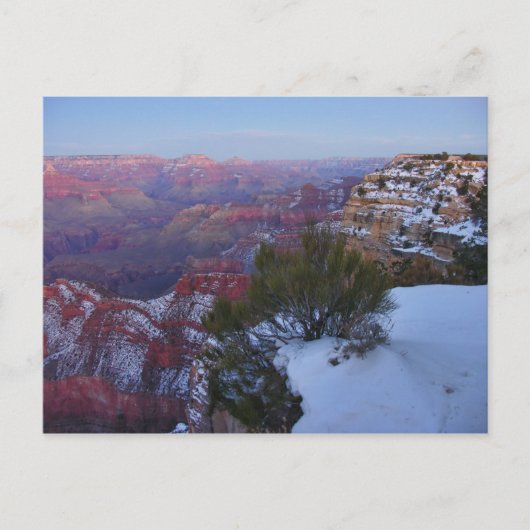 Carte postale de neige de canyon grand (Devant)