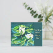 Carte postale de nénuphar d'eau douce américain (Debout devant)