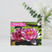 Carte postale de nénuphars roses (Debout devant)