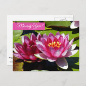 Carte postale de nénuphars roses (Devant / Derrière)