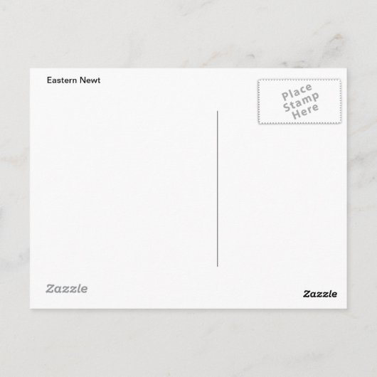 Carte postale de Newt Eastern (Dos)
