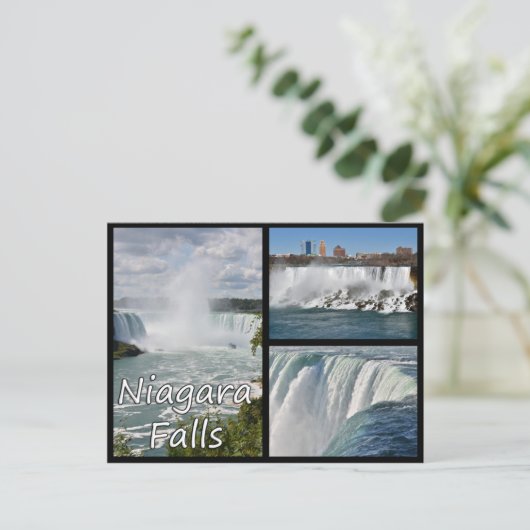 Carte postale de Niagara Falls (Debout devant)