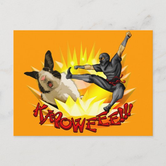 Carte postale de Ninja contre Lapin(?!?) (Devant)