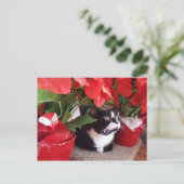 Carte postale de Noël (Debout devant)
