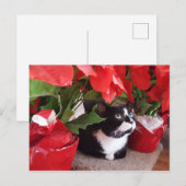 Carte postale de Noël (Devant / Derrière)