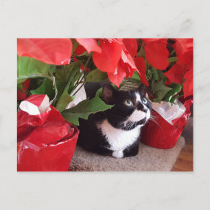 Carte postale de Noël
