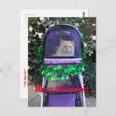 Carte postale de Noël (Devant / Derrière)