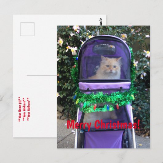 Carte postale de Noël (Devant / Derrière)