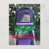 Carte postale de Noël (Devant)