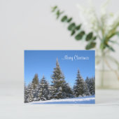 Carte postale de Noël (Debout devant)
