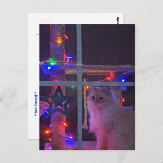 Carte postale de Noël (Devant / Derrière)