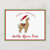 Carte postale de Noël Alpaca (Devant)