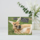 Carte postale de Noël australienne ; kangourou (Debout devant)