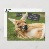 Carte postale de Noël australienne ; kangourou (Devant / Derrière)