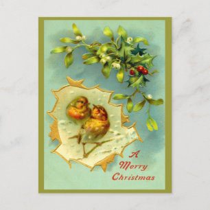 Carte postale de Noël aux oiseaux d'hiver vintages
