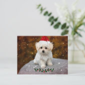 Carte postale de Noël avec photo de Maltais (Debout devant)