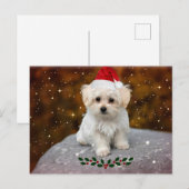 Carte postale de Noël avec photo de Maltais (Devant / Derrière)