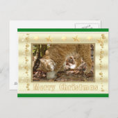 Carte postale de Noël Bobcat (Devant / Derrière)