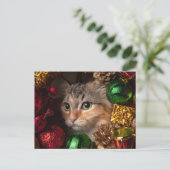 Carte postale de Noël Chat Couronne (Debout devant)