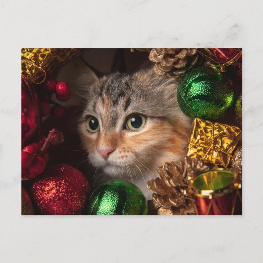 Carte postale de Noël Chat Couronne (Devant)