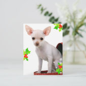 Carte postale de Noël Chihuahua (Debout devant)