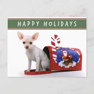 Carte postale de Noël Cute Chihuahua