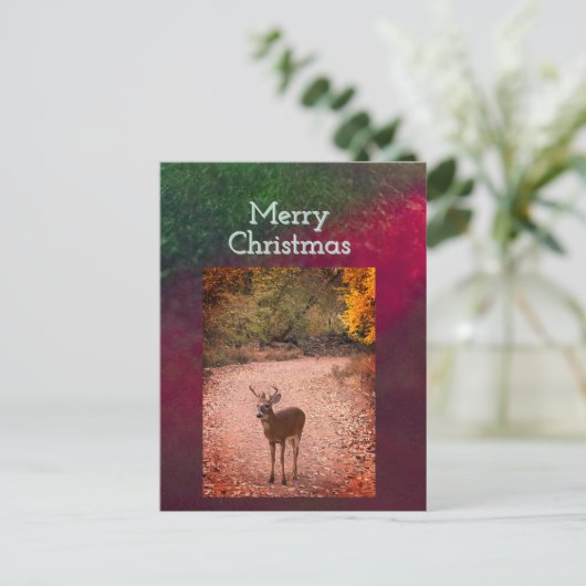 Carte postale de Noël de cerfs (Debout devant)