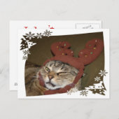 Carte postale de Noël de chat grumeux (Devant / Derrière)