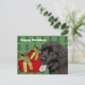 Carte postale de Noël de chien de Terre-Neuve (Debout devant)
