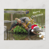 Carte postale de Noël de l'Alligator américain (Devant)