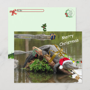 Carte postale de Noël de l'Alligator américain
