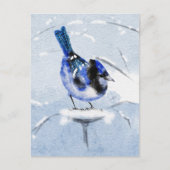 Carte postale de Noël de l'oiseau couleur de l'eau (Devant)