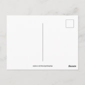 Carte postale de Noël de l'ours polaire personnali (Dos)