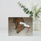 Carte postale de Noël de teckel (Debout devant)