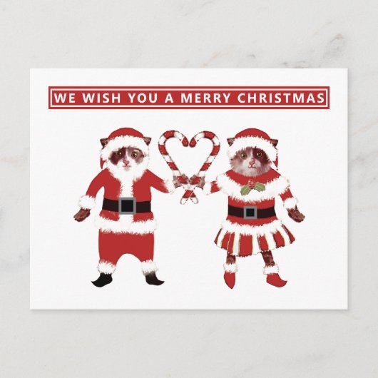 Carte postale de Noël deux chats (Devant)