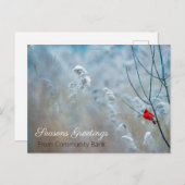 Carte postale de Noël du Cardinal d'hiver (Devant / Derrière)