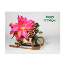 Carte postale de Noël Epiphyllum personnalisable